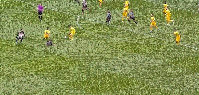 1617548003148088239.gif 7143.gif